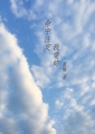 命中注定我爱你主题曲插曲