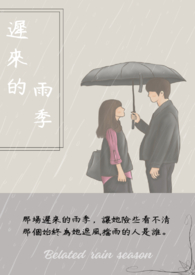 迟来的雨雾歌词