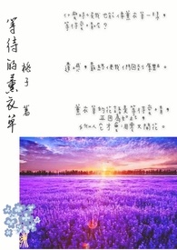 《薰衣草》歌曲