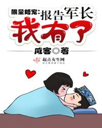 《限量婚宠:报告军长