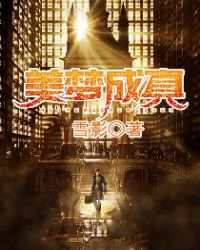 美梦成真游戏系统2.0陆初免费阅读