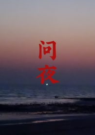 问夜小说