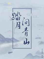 踏月问青山txt