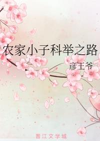 农家小子科举之路全文阅读