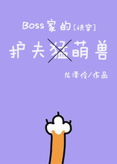 boss的护夫萌兽[快穿