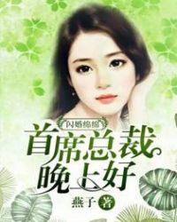 闪婚总裁甜蜜蜜 小说