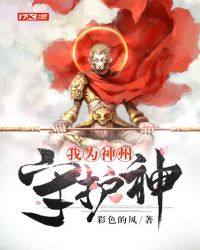 我为神州守护神叶无涯