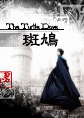 The Turtle Dove斑鸠