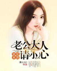 蜜爱来袭老公大人请小心