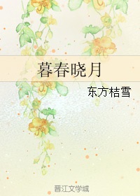 暮晓小说be