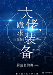 大佬,跪求装备[星际]