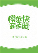 模范快穿手册TXT