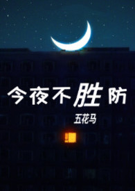 今夜不胜防小说结局