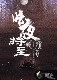 暗夜将至 小川