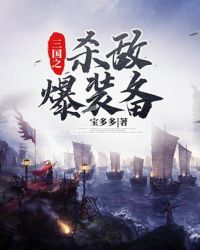 三国之杀敌爆装备小说下载