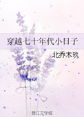 穿越七零年代小日子txt