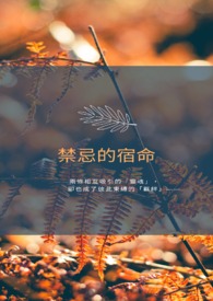 禁忌的宿命小说讲的是什么