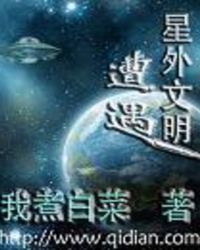 遭遇星外文明 小说