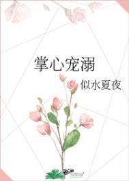 掌心宠爱小说无防盗