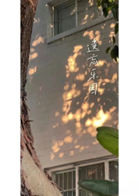 遗忘俱乐部 乐队的夏天