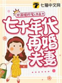 七十年代二婚妻全文免费阅读