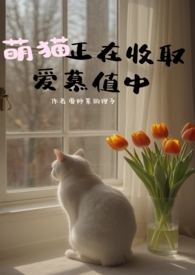 萌猫正在收取爱慕值中小说