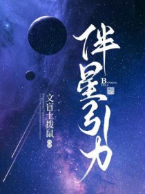 伴星引力小说免费观看