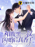 和腹黑三叔闪婚后真香了乐乐是谁