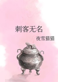 刺客无名